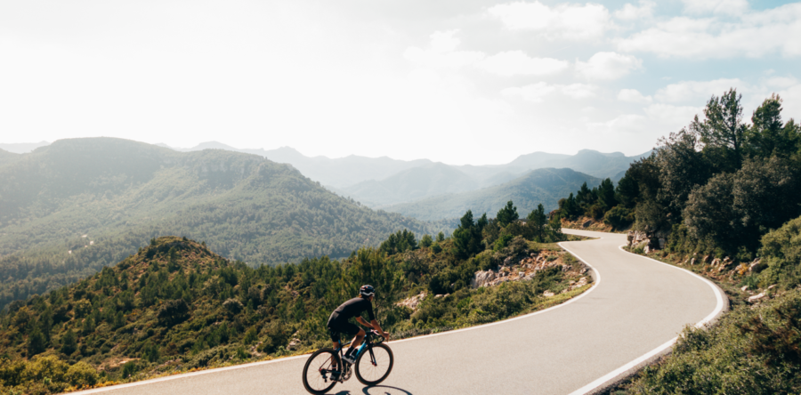 Biciclette/E-Bike/Fat Bike